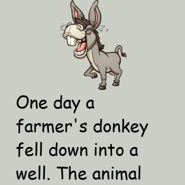 Story: The Farmer And His Donkey