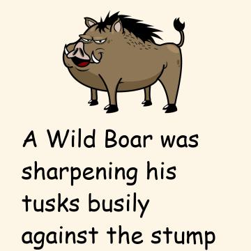Story: The Fox & The Wild Boar