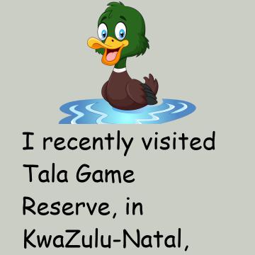 Tala Game Reserve