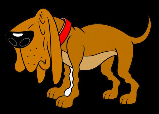 The Amazing Dog And Its Special Collar