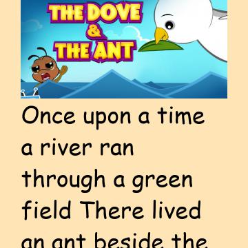 The Ant And The Dove