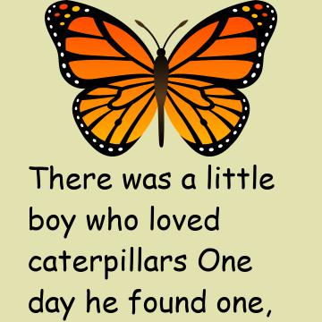 The Butterfly Struggle