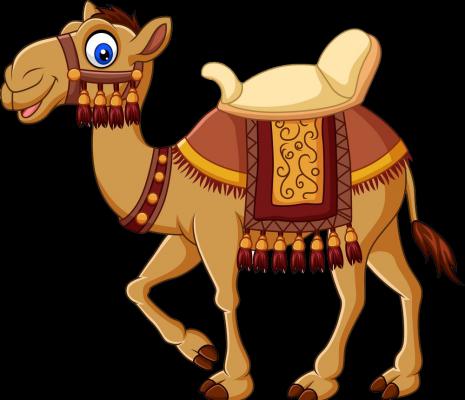 The Camel Is Dead