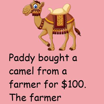 The Camel Is Dead