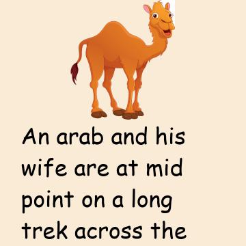 The Camel Refused To Budge
