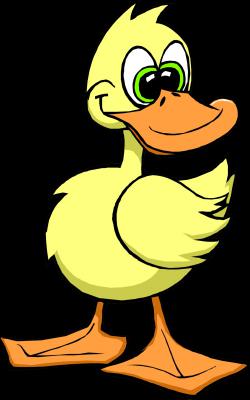 The Cat And The Duck Story
