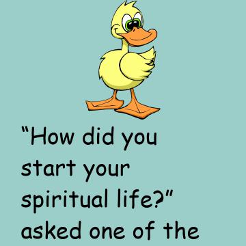 The Cat And The Duck Story