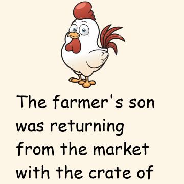 The Chickens