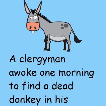 The Dead Donkey