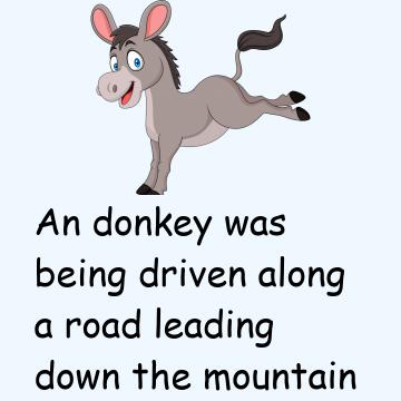 The Donkey And His Driver