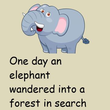 The Elephant Looking For Friends