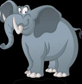The Elephant Rope And Belief