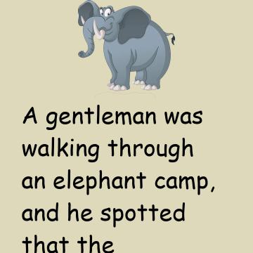 The Elephant Rope And Belief