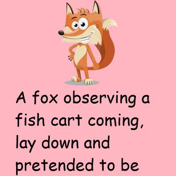 The Fox In A Cart