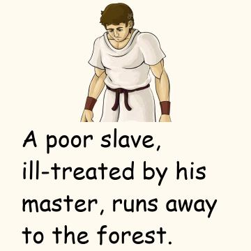 The Lion And The Poor Slave