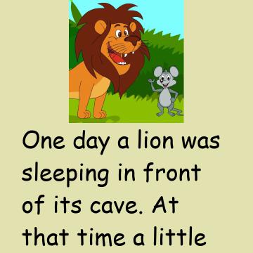 The Mouse & The Lion