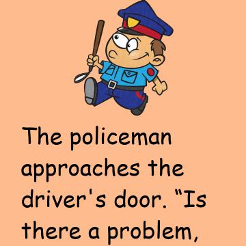 The Policeman And Driver