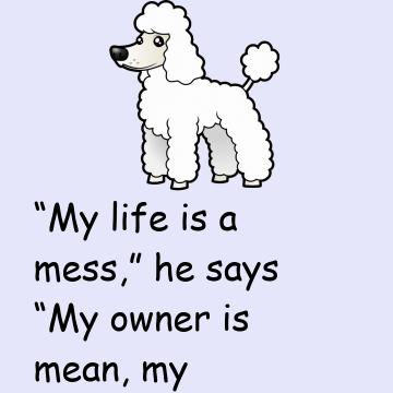 The Poodle Complains His Life Is A Mess