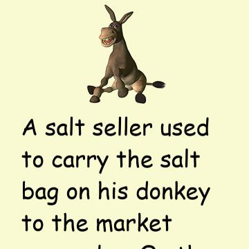 The Smart Donkey Story