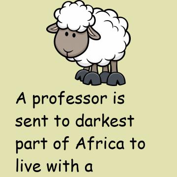 The Story Of The Black Sheep