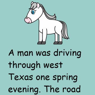 The White Horse Knows