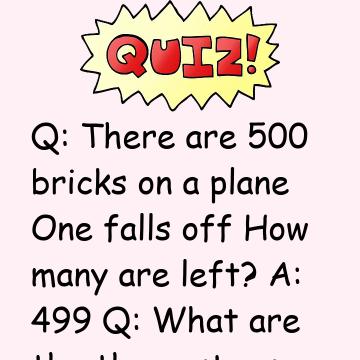 There Are 500 Bricks On A Plane