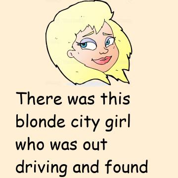 This Blonde City Girl Who Was Out Driving