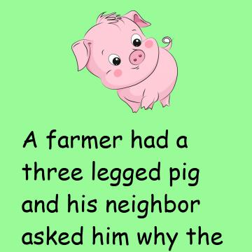 Three Legged Pig