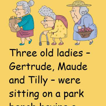 Three Old Ladies And The Flasher