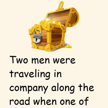 Traveller & A Purse