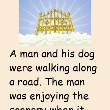 Very Nice Story