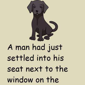We Are Now Ruined, Labrador Retriever