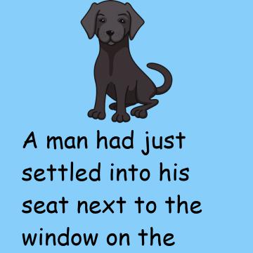 We Are Now Ruined