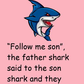 When Sharks Attack
