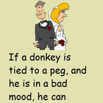Where Did The Idea Of ​​Marriage Come From?