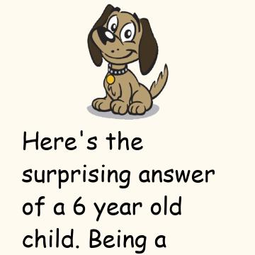 Why Dogs Live Less Than Human