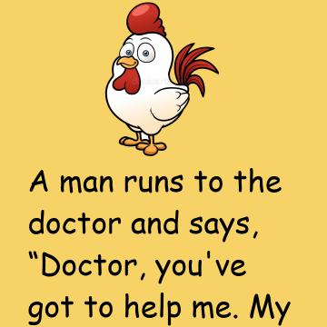 You Are A Chicken