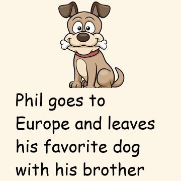 Your Dog Is Dead