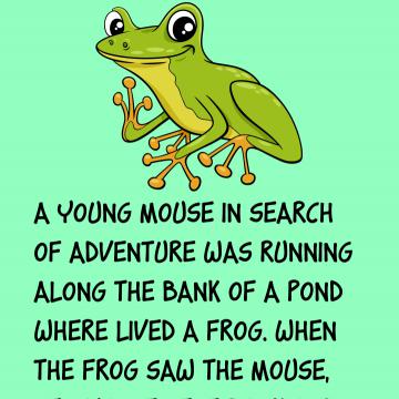 A Frog & A Mouse