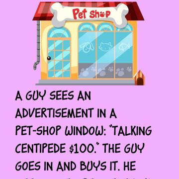 A Guy Sees An Advertisement In A Pet-Shop Window
