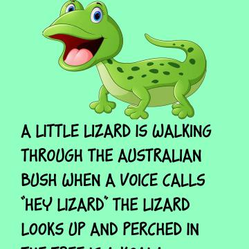 A Little Lizard Is Walking Through The Bush