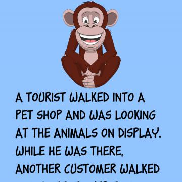 A Tourist Walked Into A Pet Shop
