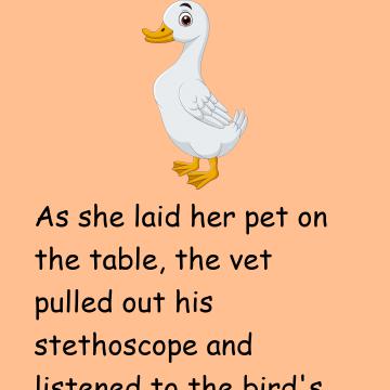 A Woman Brought A Very Limp Duck Into A Veterinary Surgeon