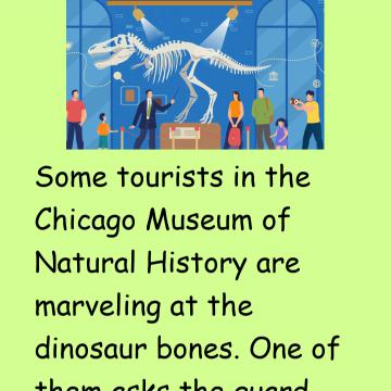 Dating Dinasaur Bones
