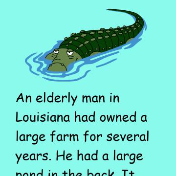 Feed The Alligator