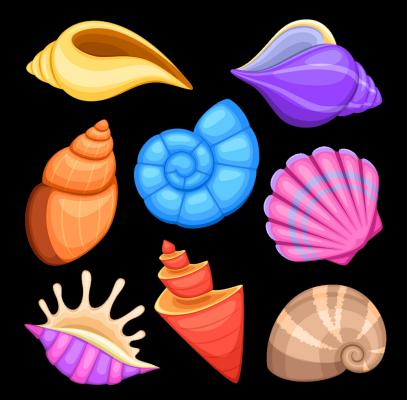 Happiness With Seashells
