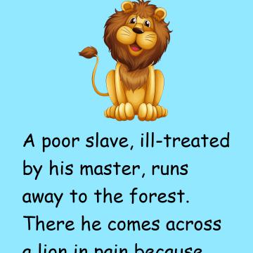 Lion And The Poor Slave