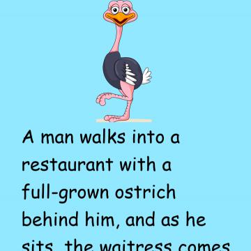 Man And Ostrich