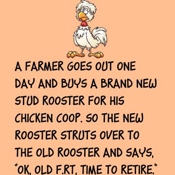 Ok, Old Rooster, Time To Retire