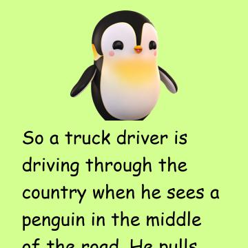 Penguin And Truck Driver